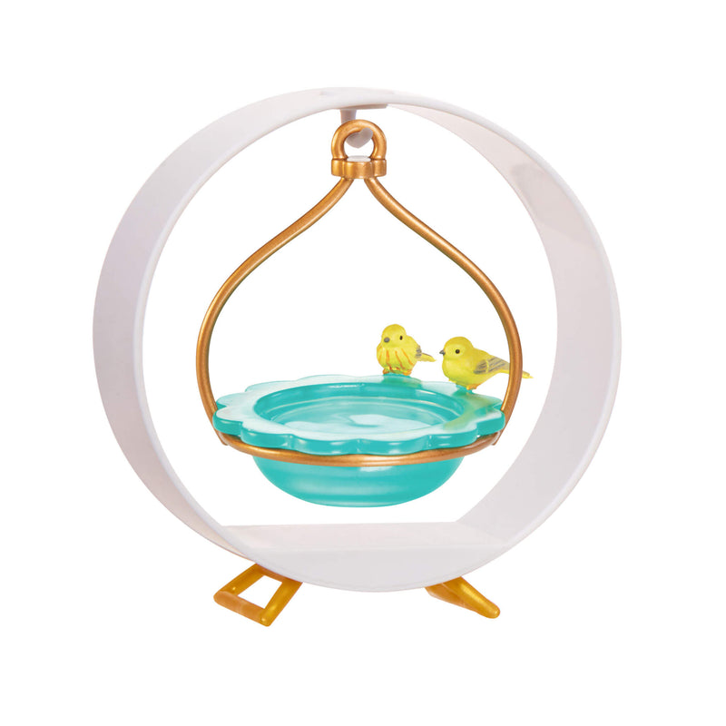 Bird water bath on display