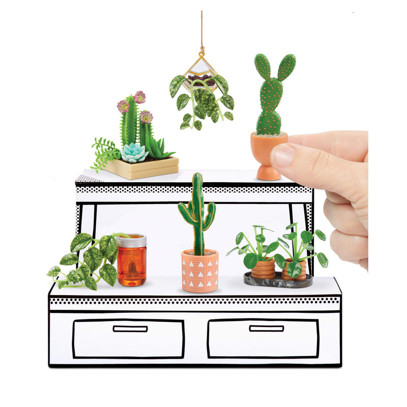 plants and cactuses
