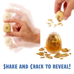 Shake and crack egg to reveal dino