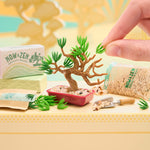 Now & Zen product set with a small bonsai tree and packaging on a yellow background