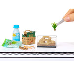 Miniature setup with a bottle, box, and small plant on a white background