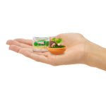Hand holding two small terrariums with plants and animals on a white background