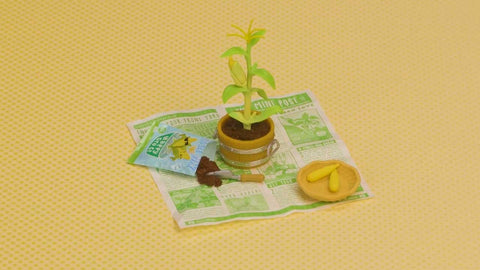 Corn